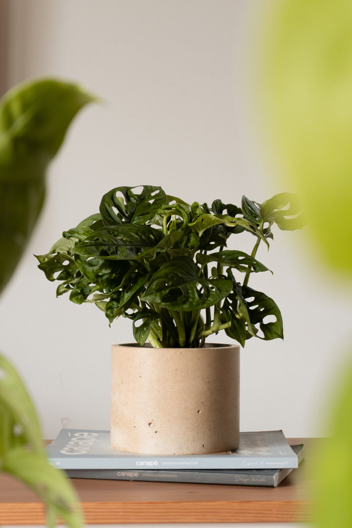 Cache-pot FERNAND